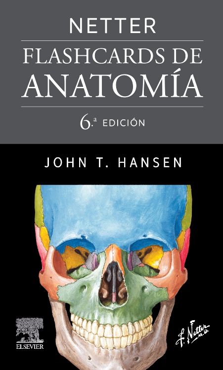 Netter. Flashcards de anatomía, 6ª ed.